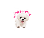 888210744