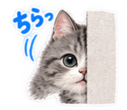 888210914