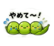 888211370
