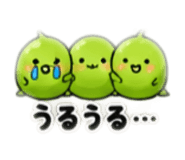 888211389