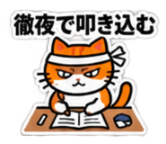 888213313