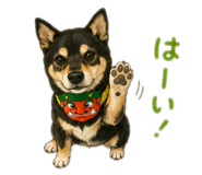 888213476