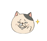 888213519