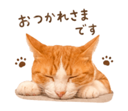 888213555