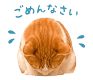 888213558