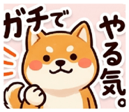 888213640