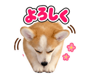 888213687