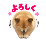 888213828