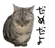 888215679