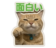 888215736