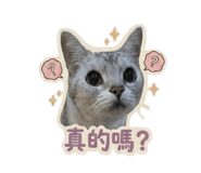 888222538