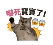 888222539