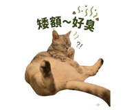 888222544