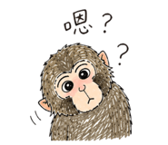 888223454