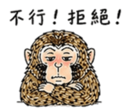 888224952