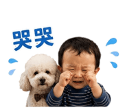 888227491