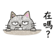 888235354