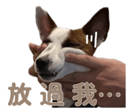 888236556