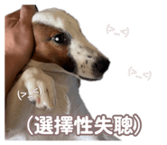 888236561
