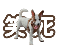 888236565