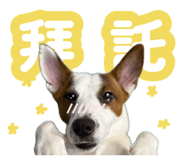888236566