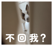 888236567