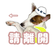 888236578