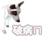 888236581