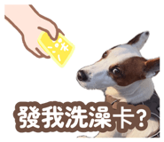 888236583