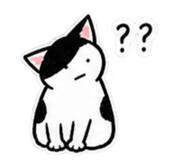 888238845