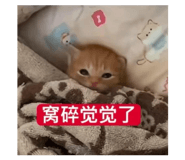 888243596