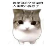 888243599