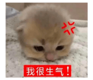 888243600