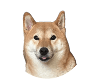 888245005
