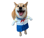 888245012