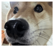888245018