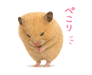 888254511