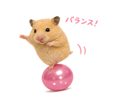 888254512