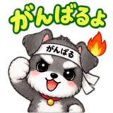888254616