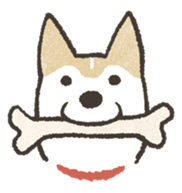 888304