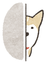 888314
