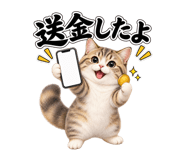 888386081