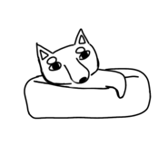 888414817