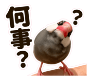 888416491