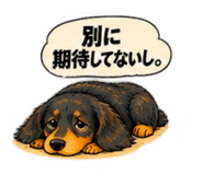 888416980