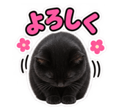 888427208