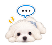 888440460