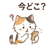 888444605