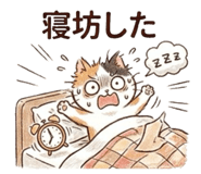 888444629
