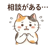 888444636